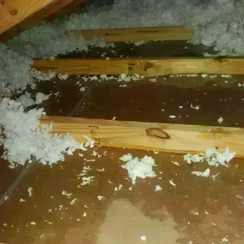 Attic Water Damage in Appalachia, VA