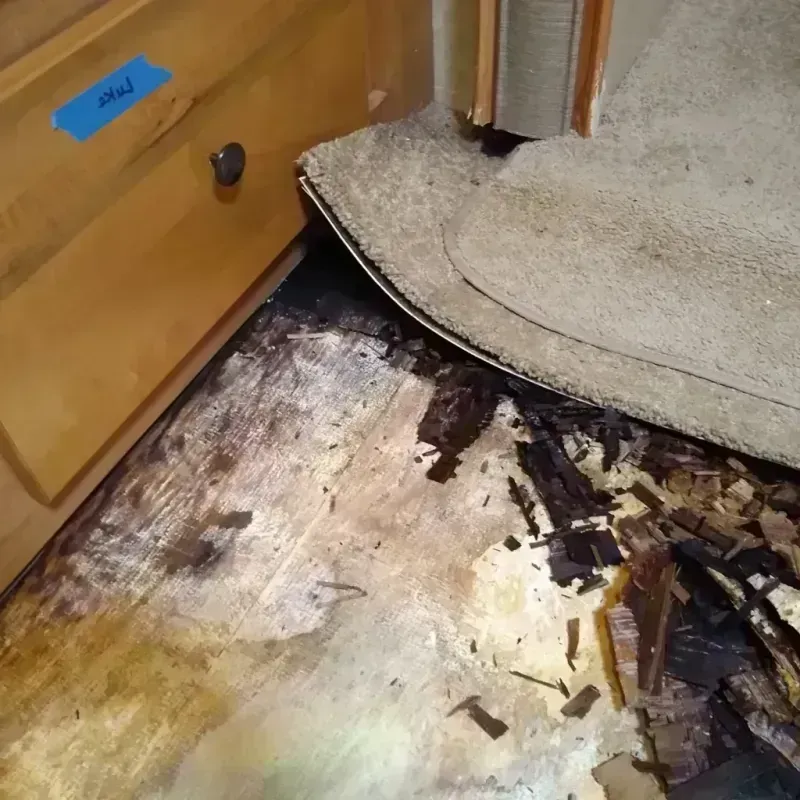 Wood Floor Water Damage in Appalachia, VA